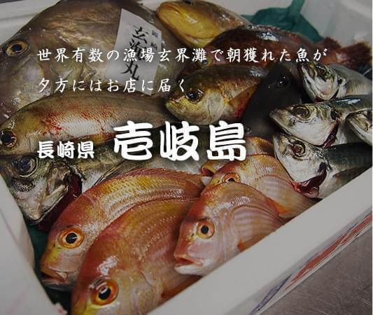 世界有数の漁場玄界灘で朝獲れた魚が夕方にはお店に届く 長崎県 壱岐島