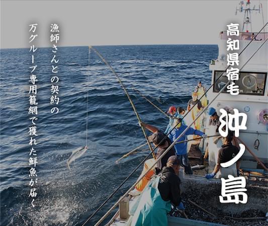 漁師さんとの契約の万グループ専用籠網で獲れた鮮魚が届く 高知県宿毛 沖丿島 
