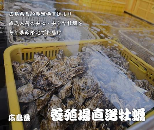 数時間前まで海で泳いでいた鮮魚を競り落としお届け 垂水漁港 昼網鮮魚